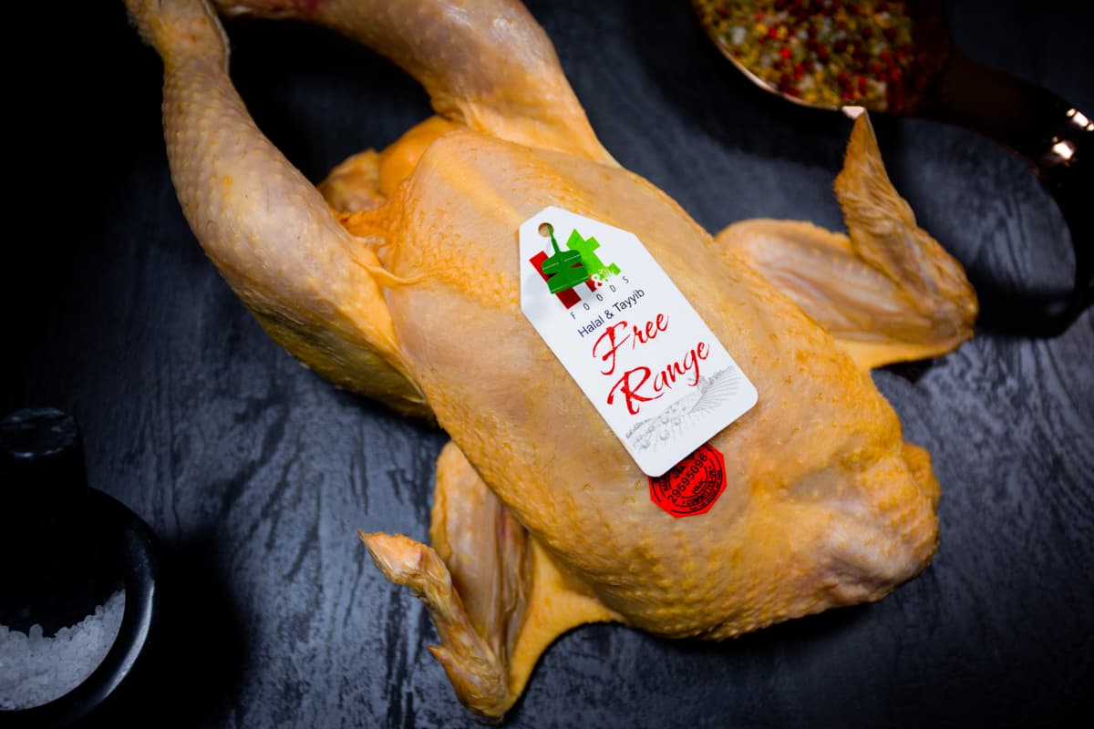 Free Range Chicken